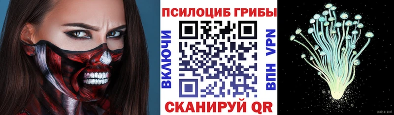 Псилоцибиновые грибы Cubensis  где продают наркотики  Томилино 